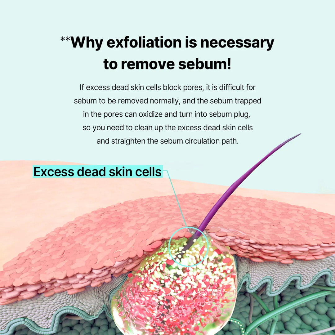 Diagram of skin with exfoliation process and text explaining why exfoliation is necessary to remove sebum.