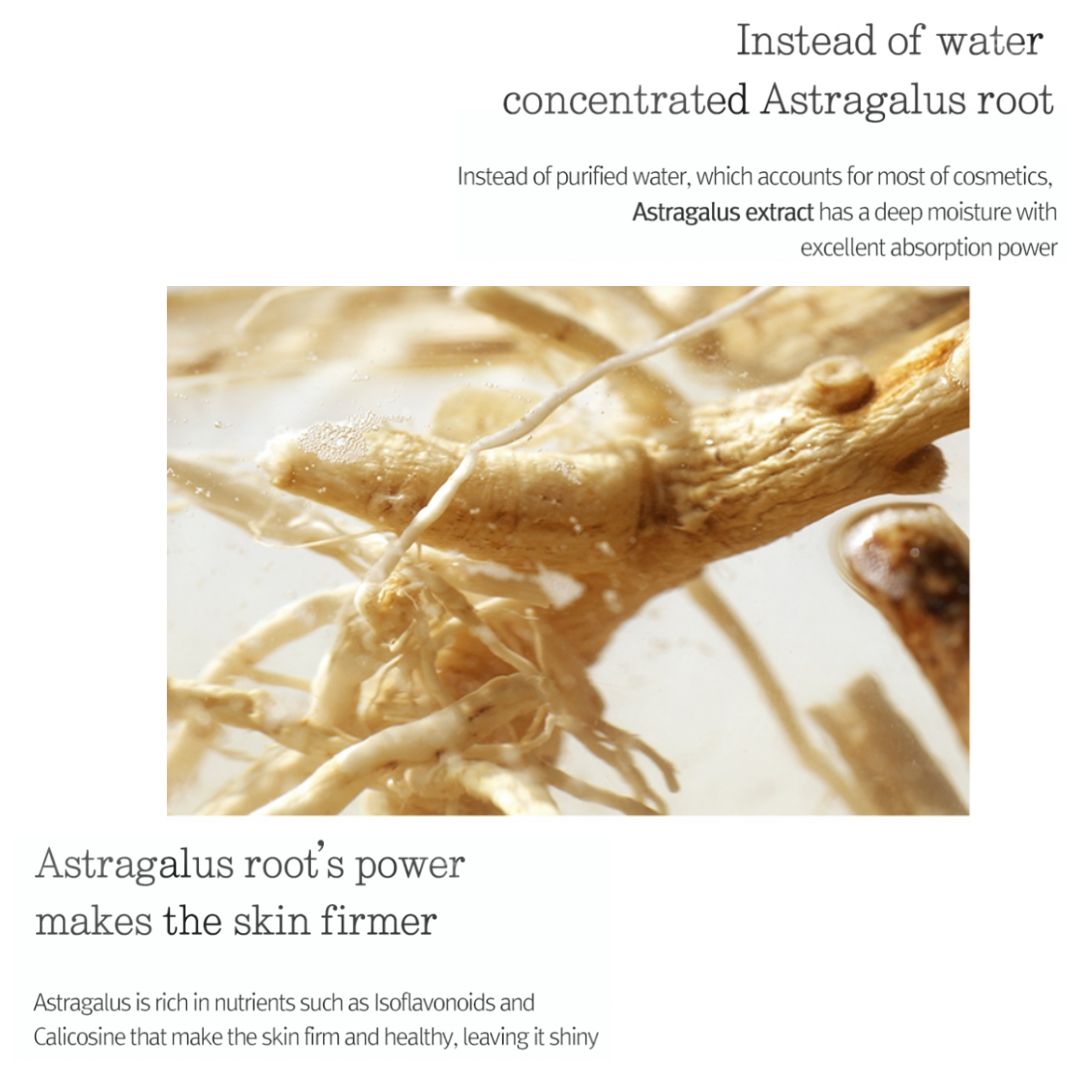 Astragalus root with text about its benefits for skin firmness on a white background