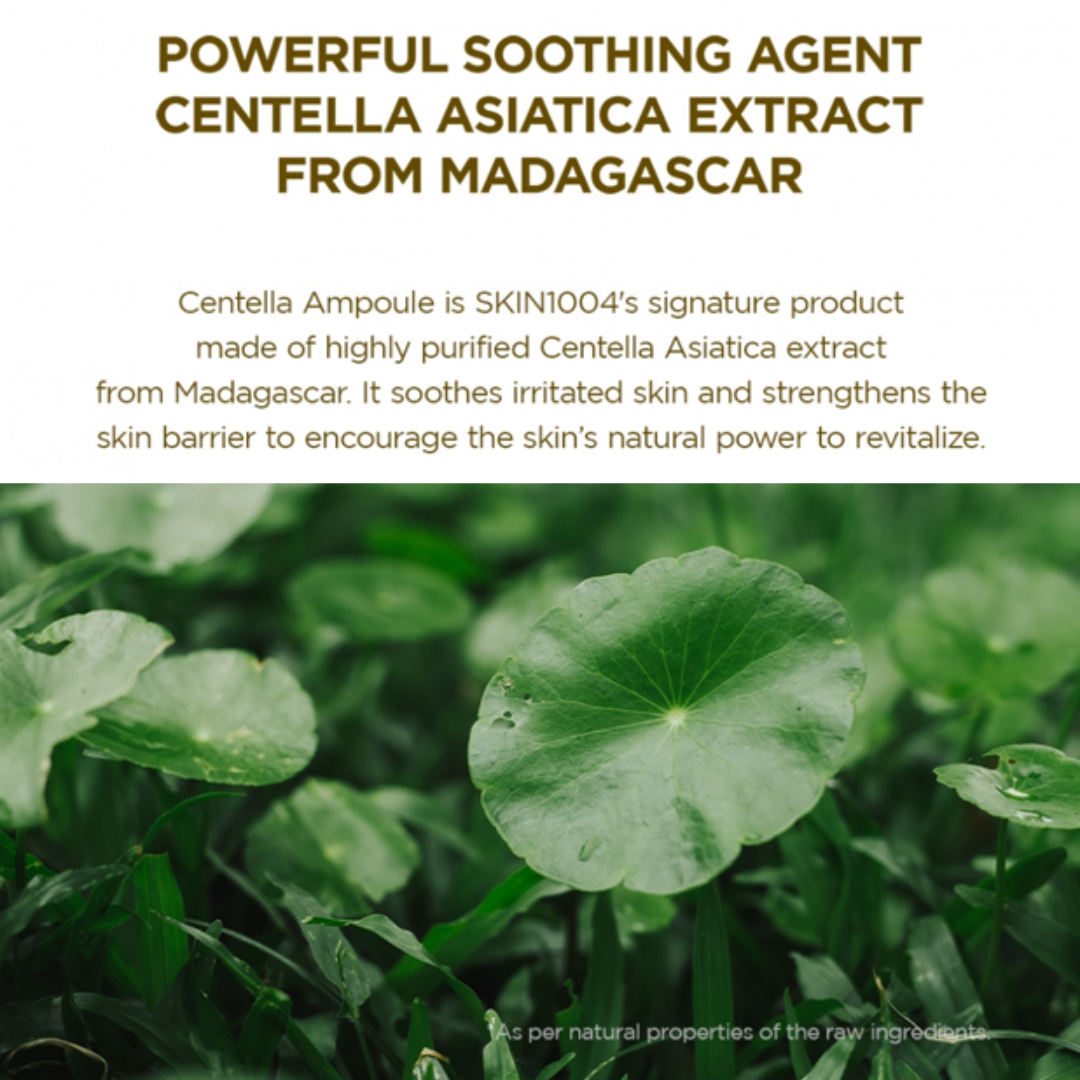 Centella Asiatica plant leaves with text about a soothing agent from Madagascar.