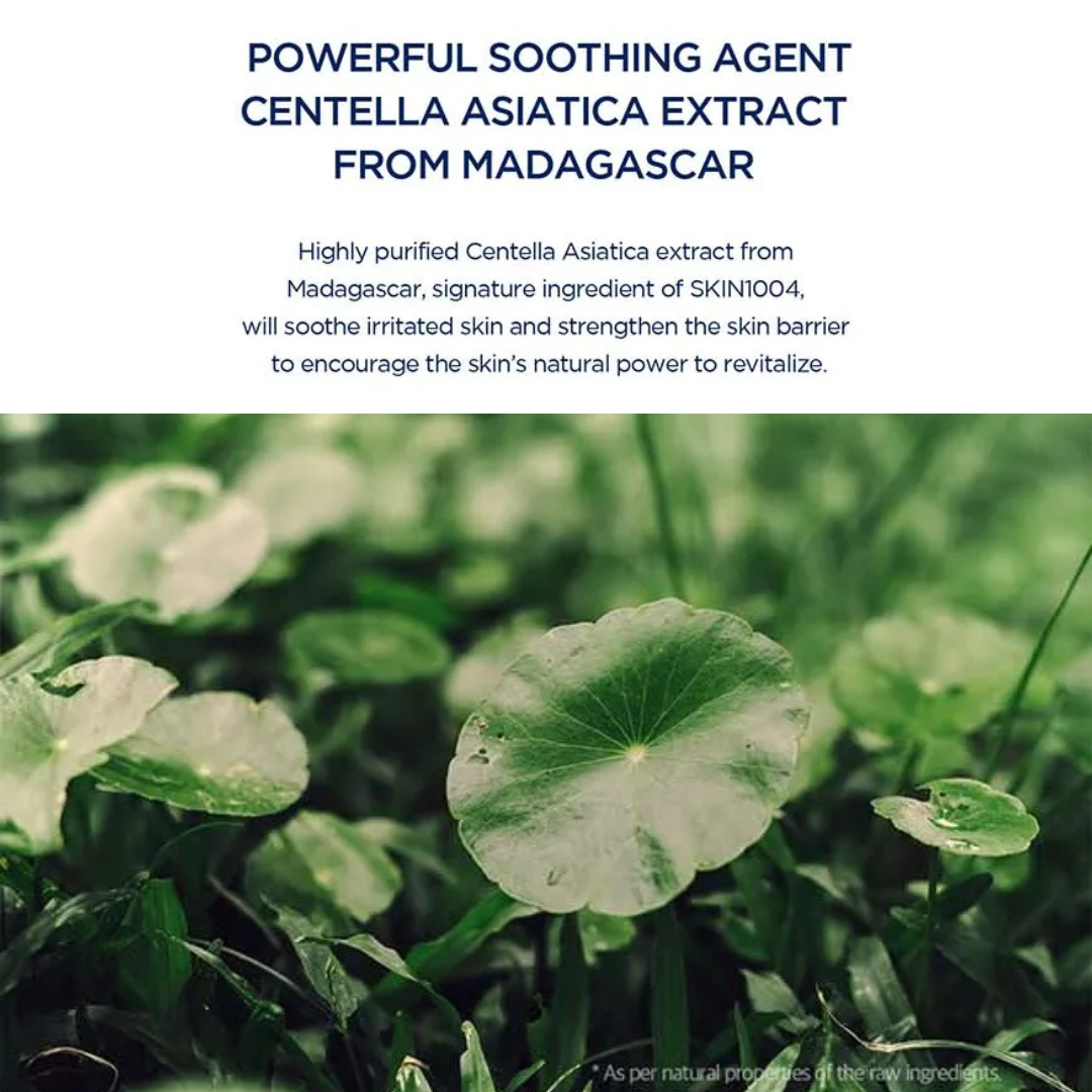 Centella Asiatica leaves with text about a powerful soothing agent from Madagascar
