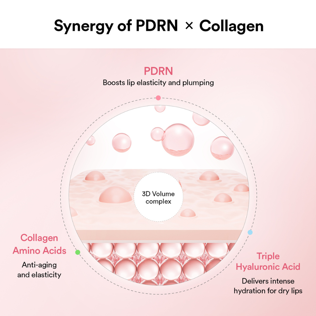 Diagram of PDRN and Collagen synergy with skin layer illustration on a pink background