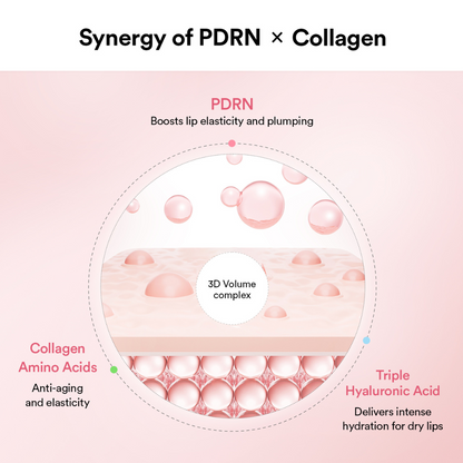 Diagram of PDRN and Collagen synergy with skin layer illustration on a pink background