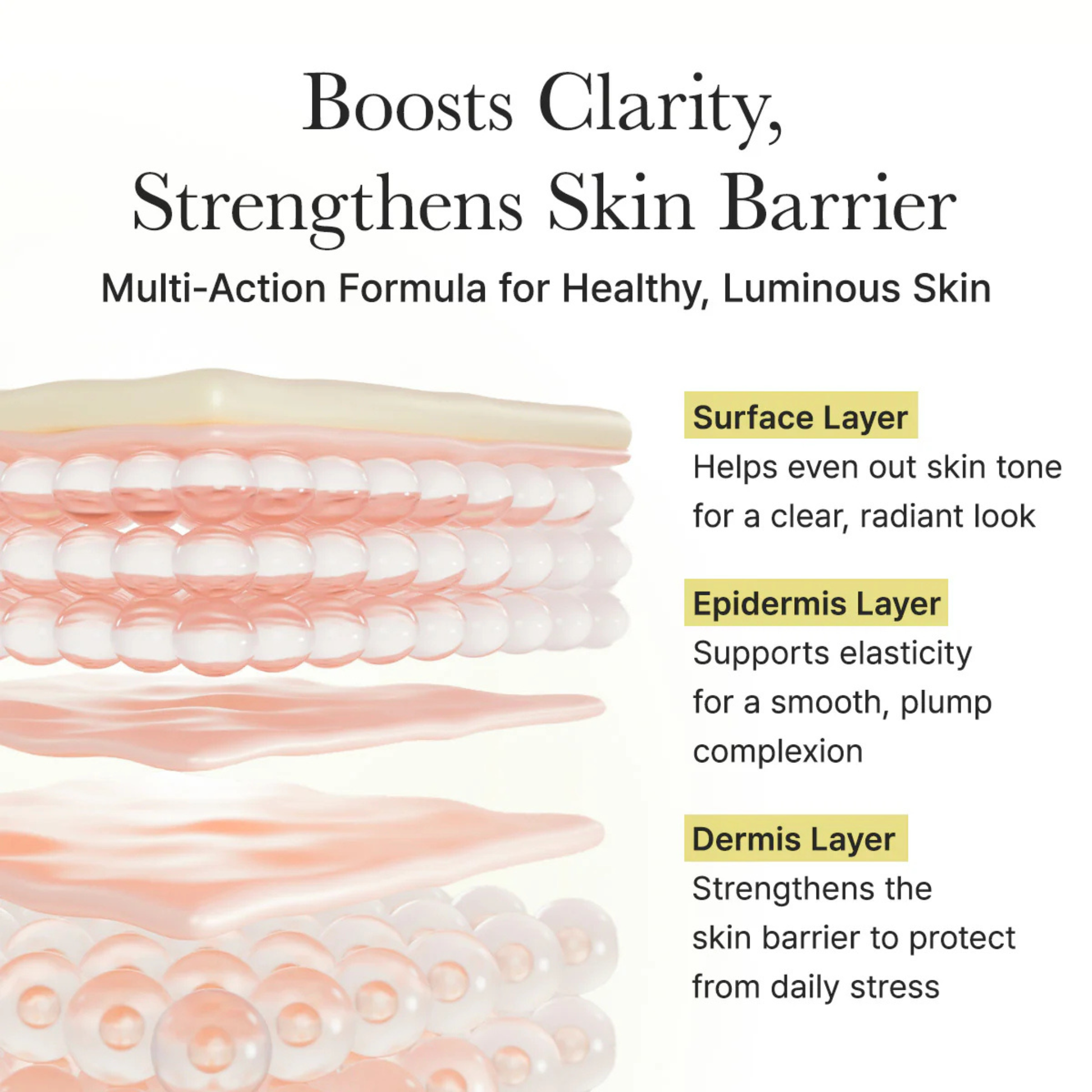Diagram of skin layers with text about skincare benefits of Arencia Vitamin C Booster Shot
