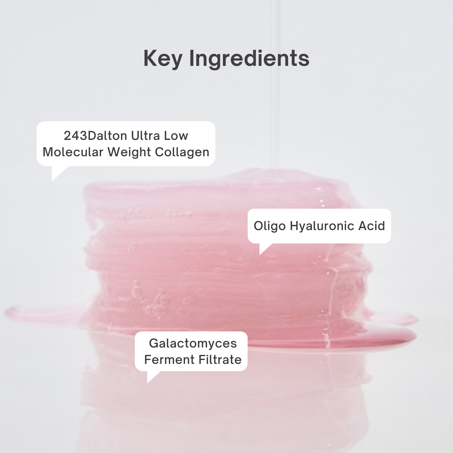 Pale pink Biodance Collagen Gel Toner Pads on a white background with text callouts reading 'Key Ingredients,' '243Dalton Ultra Low Molecular Weight Collagen,' 'Oligo Hyaluronic Acid,' and 'Galactomyces Ferment Filtrate.'.