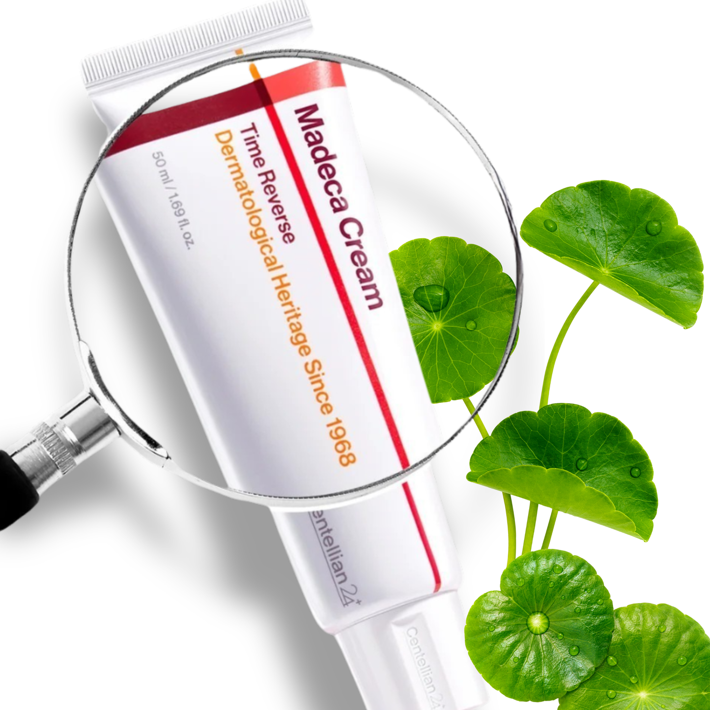 Centellian24 Madeca Cream Time Reverse packaging with a magnifying glass and Centella Asiatica leaves on a white background