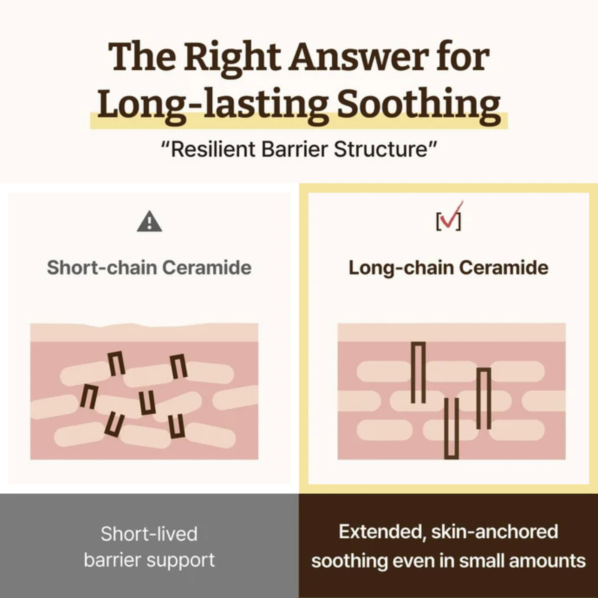 An infographic comparing short-chain and long-chain ceramides for skin barrier support. The top text reads 'The Right Answer for Long-lasting Soothing' and 'Resilient Barrier Structure.
