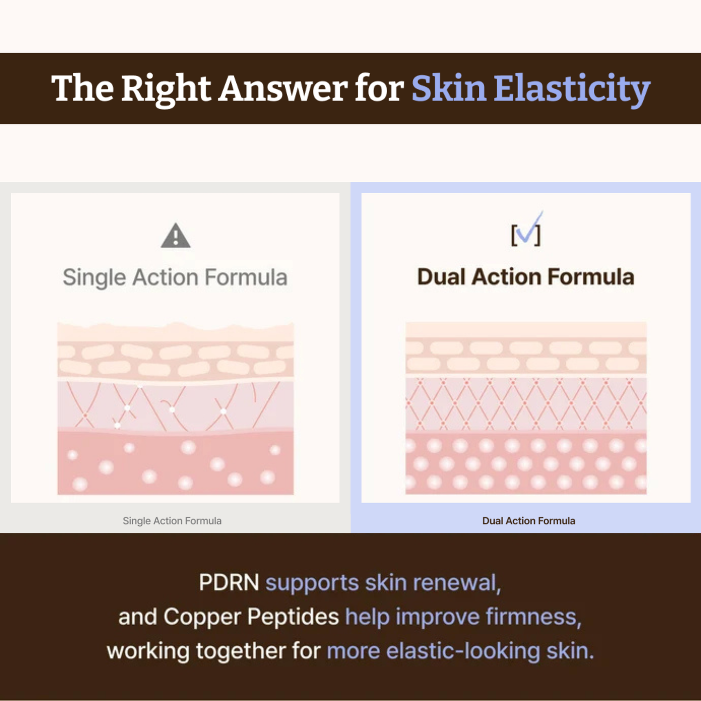 An informational graphic titled 'The Right Answer for Skin Elasticity' comparing 'Single Action Formula' and 'Dual Action Formula' with simplified skin-layer diagrams and explanatory text about PDRN and copper peptides working together for more elastic-looking skin. Dr. Reju-All Advanced PDRN Copper Peptide Serum