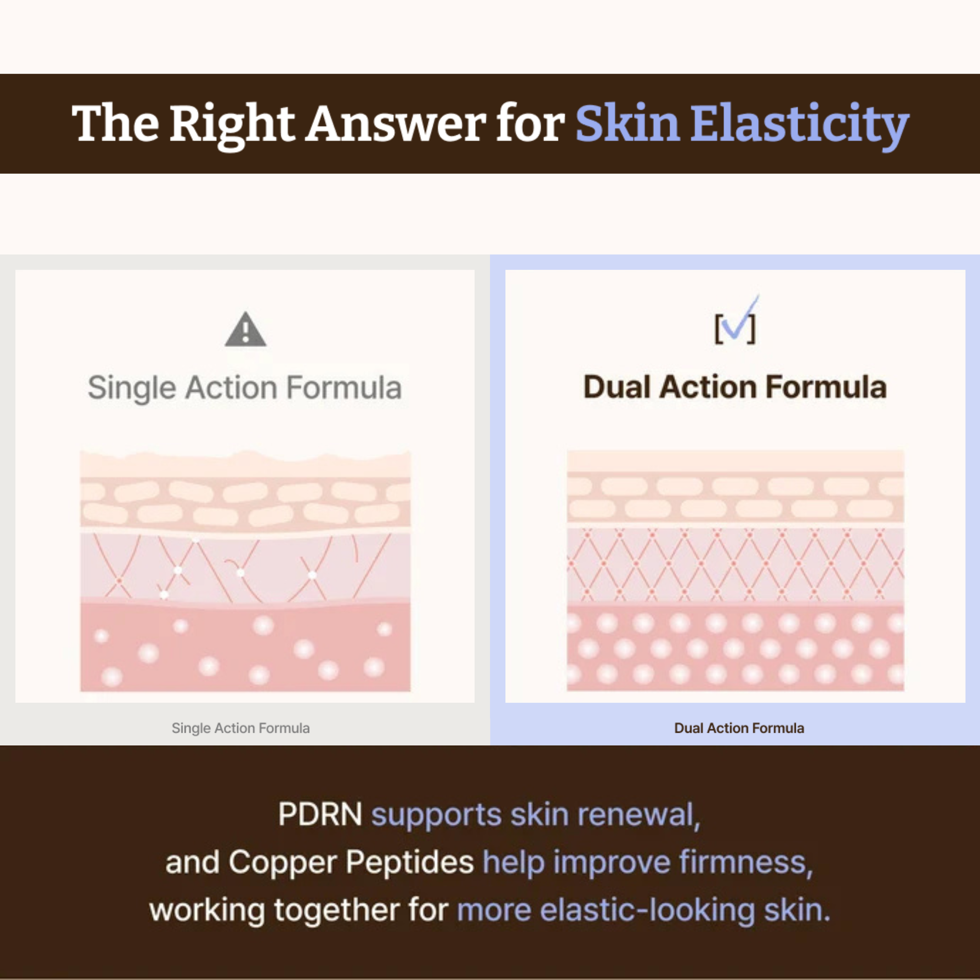 An informational graphic titled 'The Right Answer for Skin Elasticity' comparing 'Single Action Formula' and 'Dual Action Formula' with simplified skin-layer diagrams and explanatory text about PDRN and copper peptides working together for more elastic-looking skin. Dr. Reju-All Advanced PDRN Copper Peptide Serum