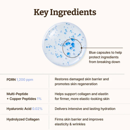 An informational graphic titled 'Key Ingredients' on a light beige background, featuring a drop of Dr. Reju-All Advanced PDRN Copper Peptide Serum serum with blue capsules and text explaining ingredients such as PDRN, multi-peptide copper peptides, hyaluronic acid, and hydrolyzed collagen.