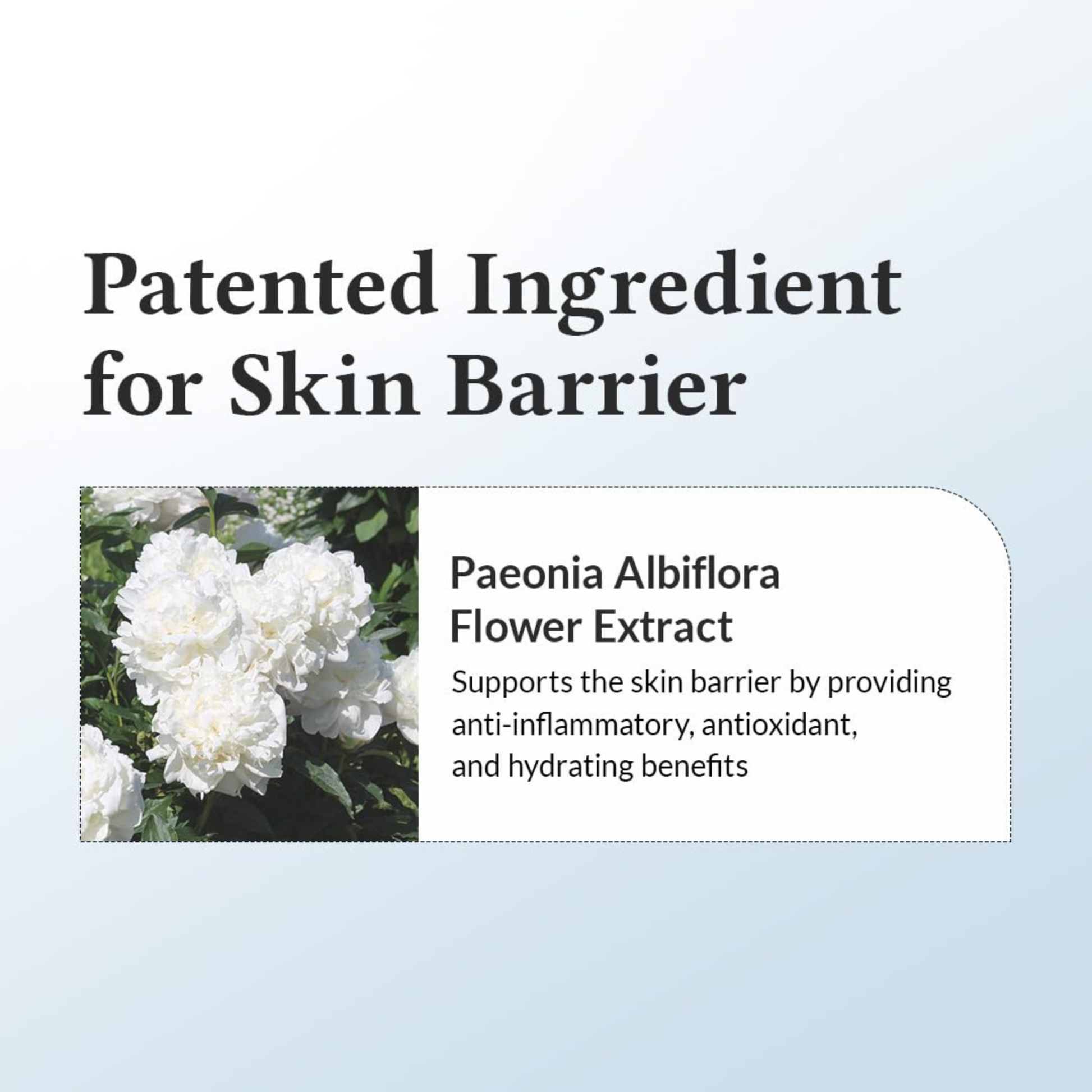 Ingredient information on Paeonia Albiflora Flower Extract as a patented ingredient for skin barrier support in the Dr.Althea 147 Barrier Cream