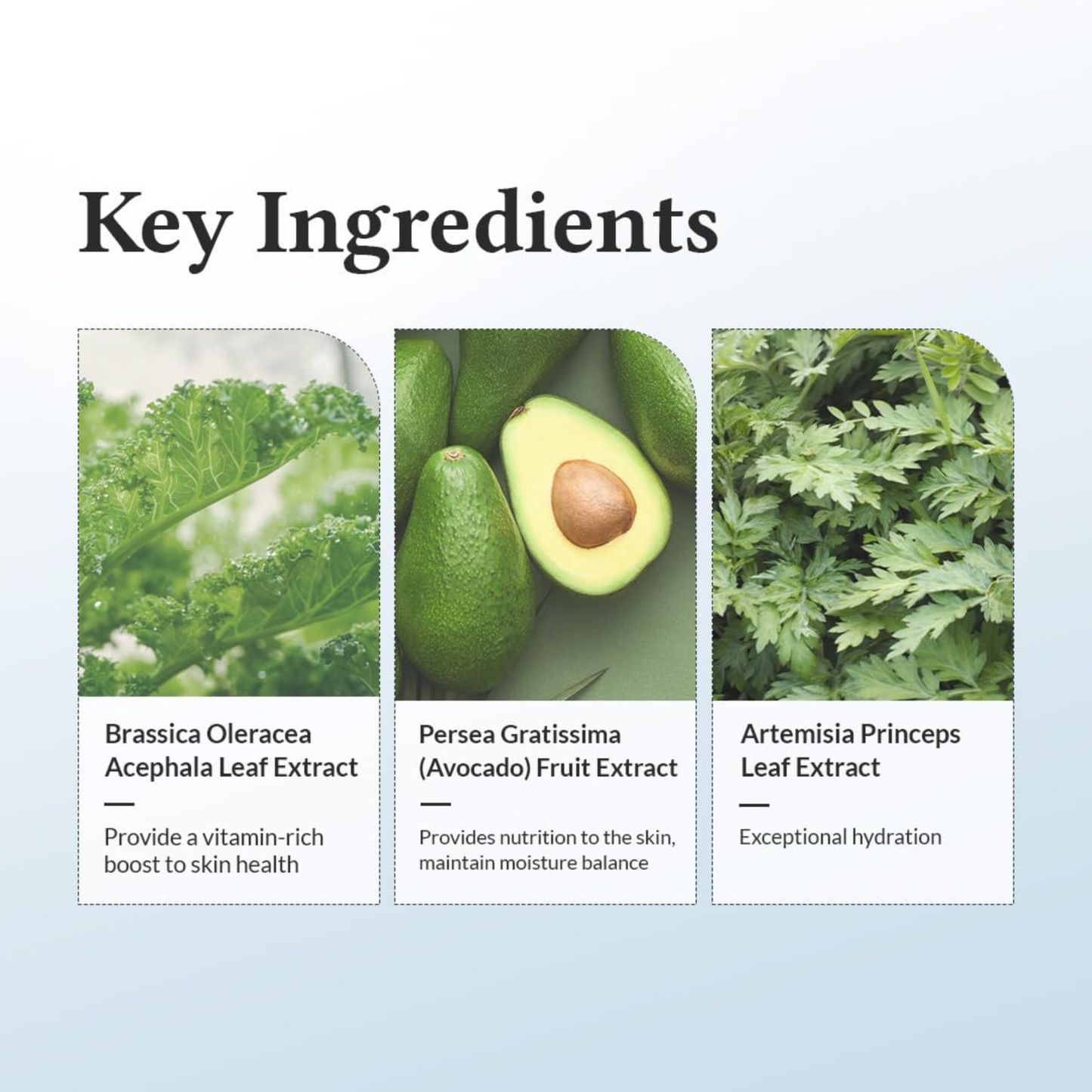 Key ingredients in the Dr.Althea 147 Barrier Cream with images and descriptions on a light blue background