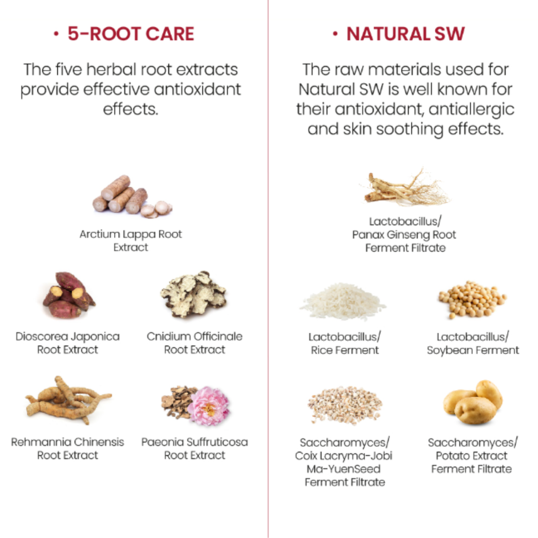 Illustration of herbal root extracts and raw materials of  K-SECRET Seoul 1988 Cream: Retinal Liposome 1% + Fermented Rice with text on a white background