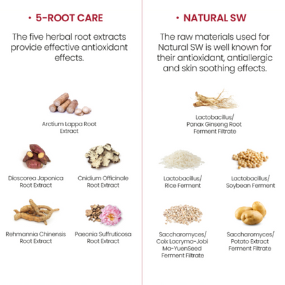 Illustration of herbal root extracts and raw materials of  K-SECRET Seoul 1988 Cream: Retinal Liposome 1% + Fermented Rice with text on a white background