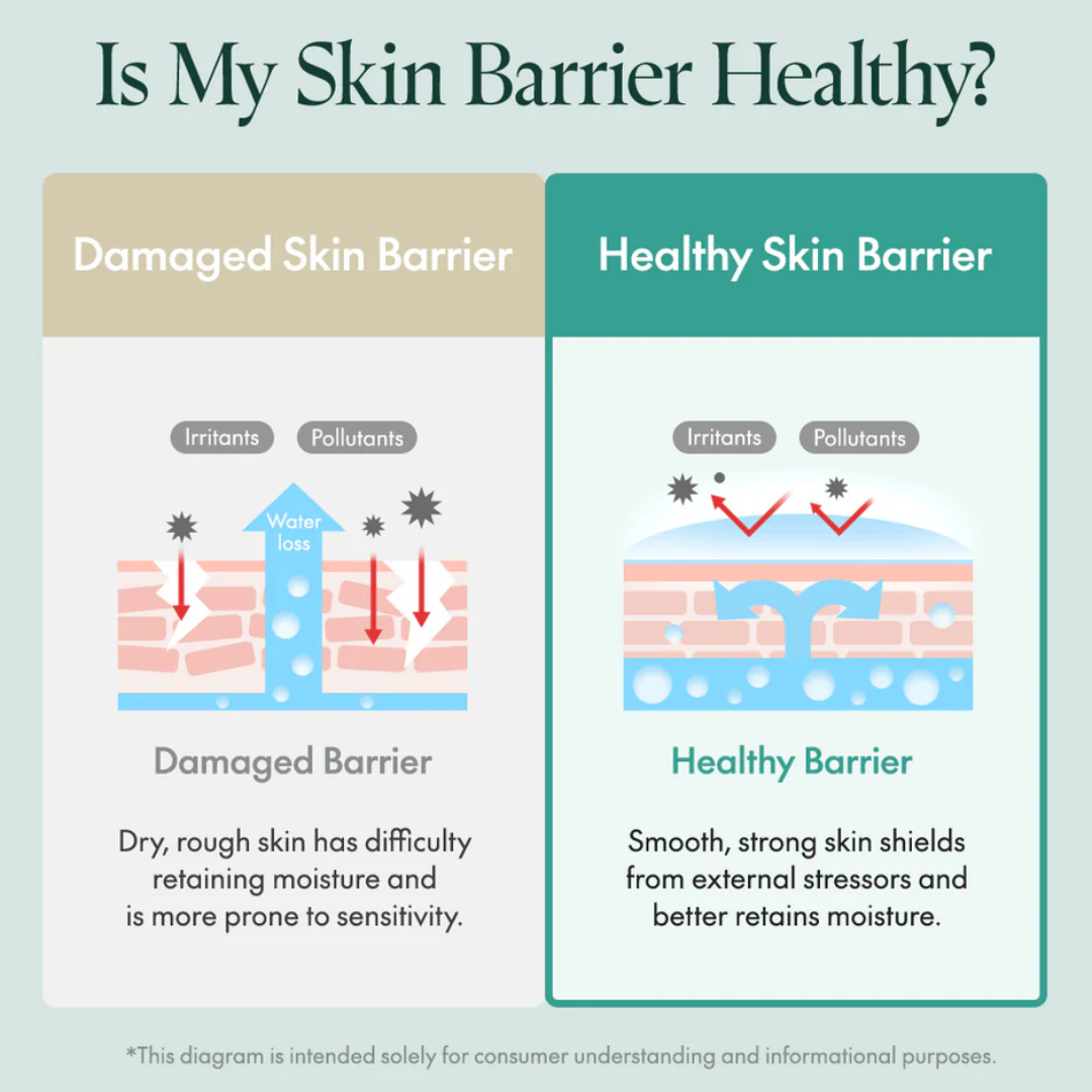 Diagram comparing a damaged skin barrier to a healthy skin barrier with text explaining the differences.