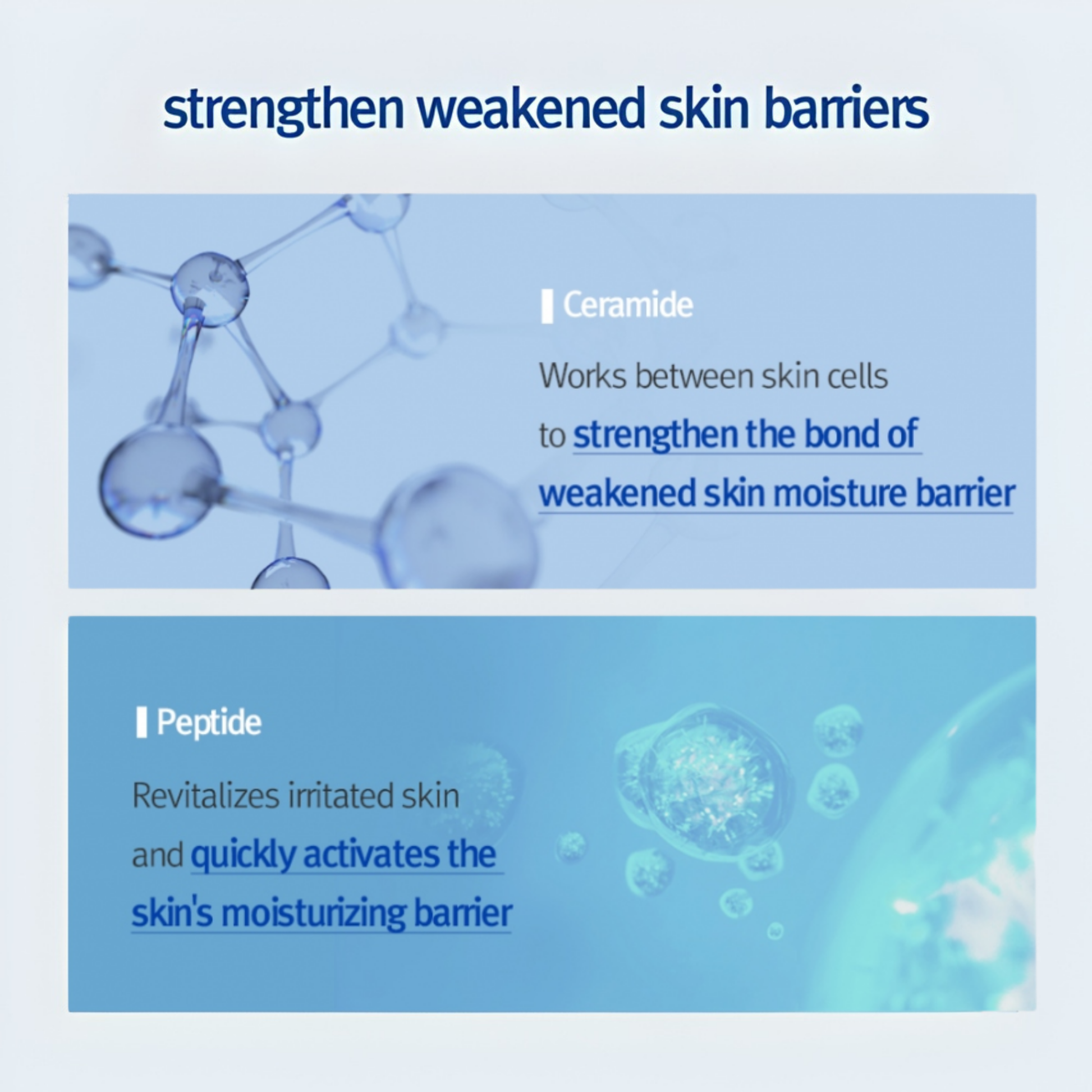 Information regarding skin barrier strengthening with ceramide and peptide on a blue background