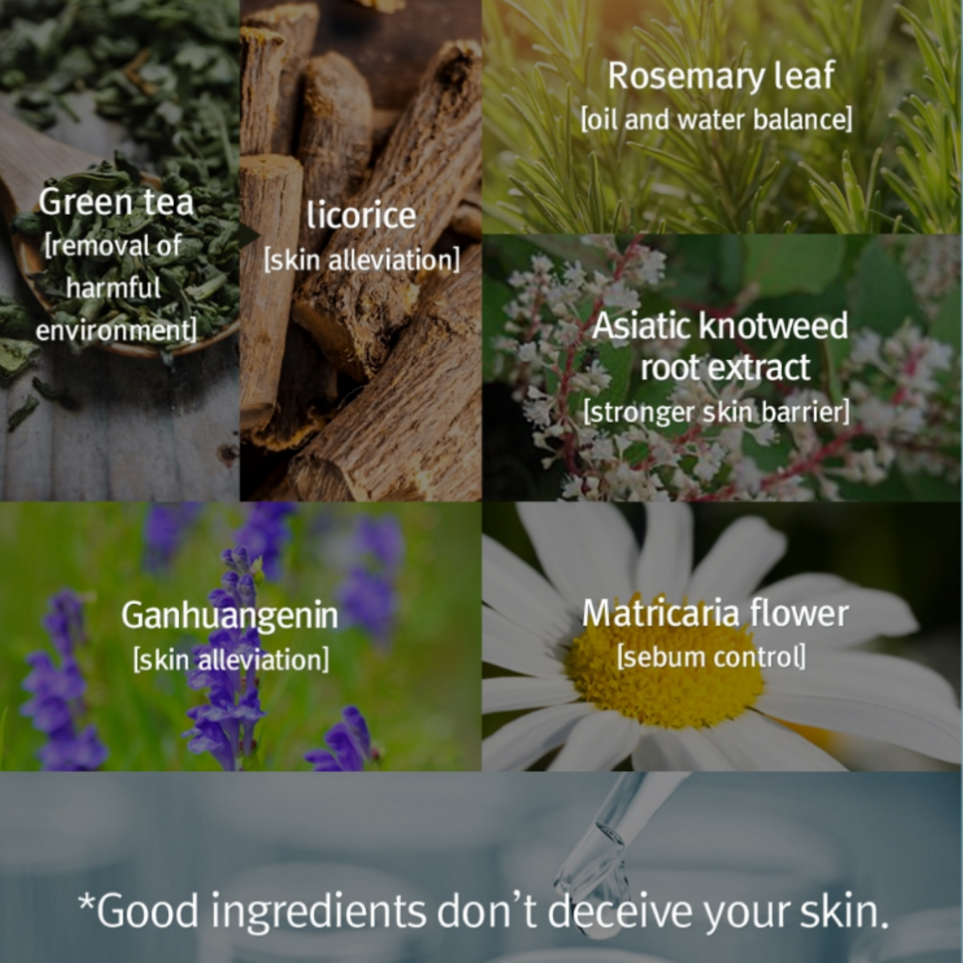 Collage of natural ingredients with their names and benefits on a blue background. Pyunkang Yul Acne Facial Cleanser