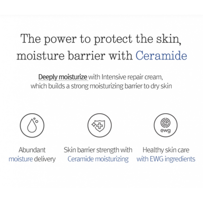 Text and icons about ceramides in the Pyunkang Yul Intensive Repair Cream on a white background
