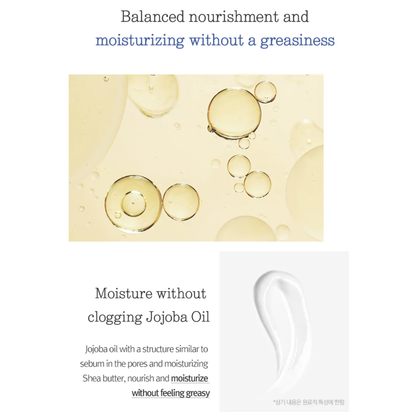 Advertisement for Pyunkang Yul Moisture Cream highlighting Jojoba Oil with text about balanced nourishment and moisturizing.