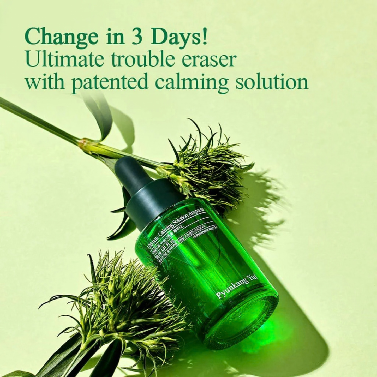 Green Pyunkang Yul Ultimate Calming Solution Ampoule bottle with plants on a light green background
