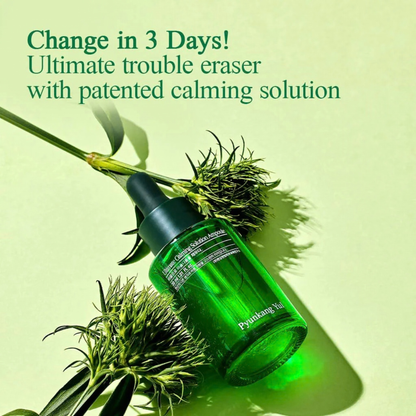 Green Pyunkang Yul Ultimate Calming Solution Ampoule bottle with plants on a light green background
