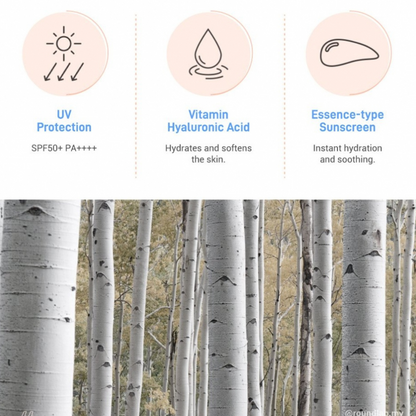 Image of birch trees with icons and text about UV protection, Vitamin Hyaluronic Acid, and Essence-type Sunscreen. ROUND LAB Birch Juice Moisturizing Sunscreen SPF 50+ PA++++