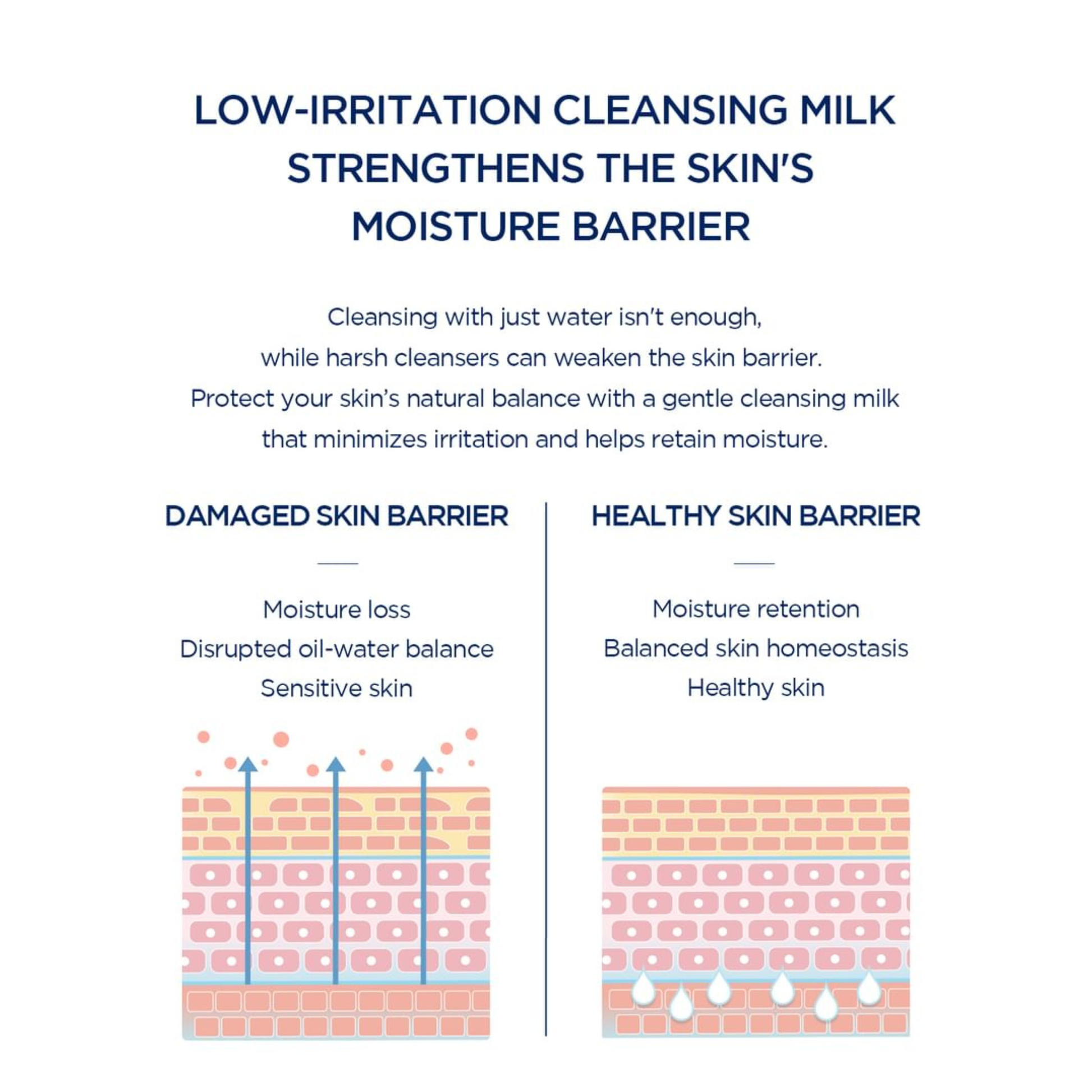 Diagram showing the difference between a damaged and healthy skin barrier with text about low-irritation of the SKIN1004 Hyalu-Cica Blue Gentle Cleansing Milk