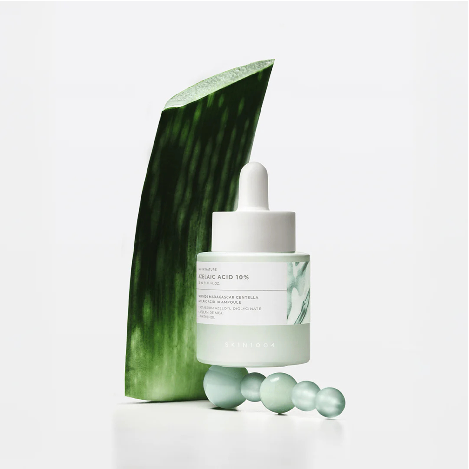 SKIN1004 Lab in Nature Madagascar Centella Azelaic Acid 10 Ampoule with aloe plant leaf