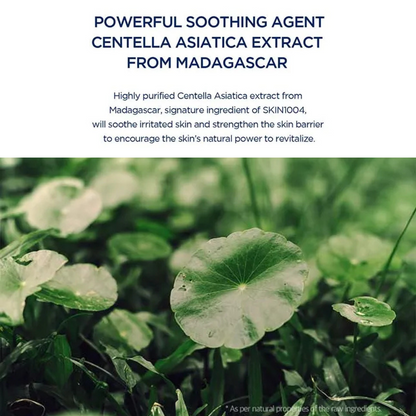 Centella Asiatica leaves with text about a powerful soothing agent from Madagascar