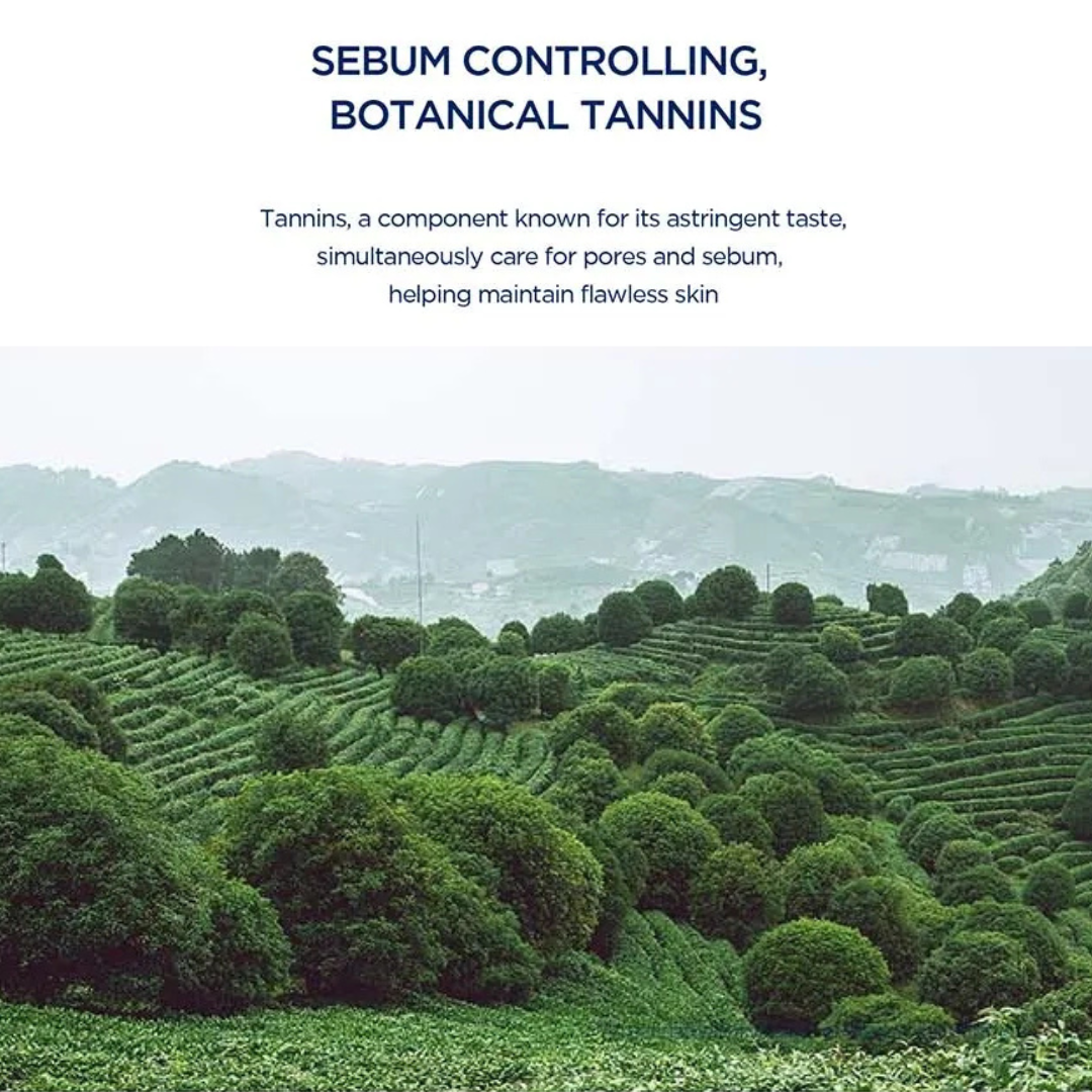Tea plantation with text about sebum controlling and botanical tannins