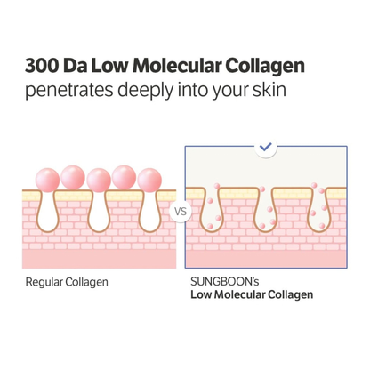Diagram comparing 300 Da Low Molecular Collagen penetration into skin with regular collagen.