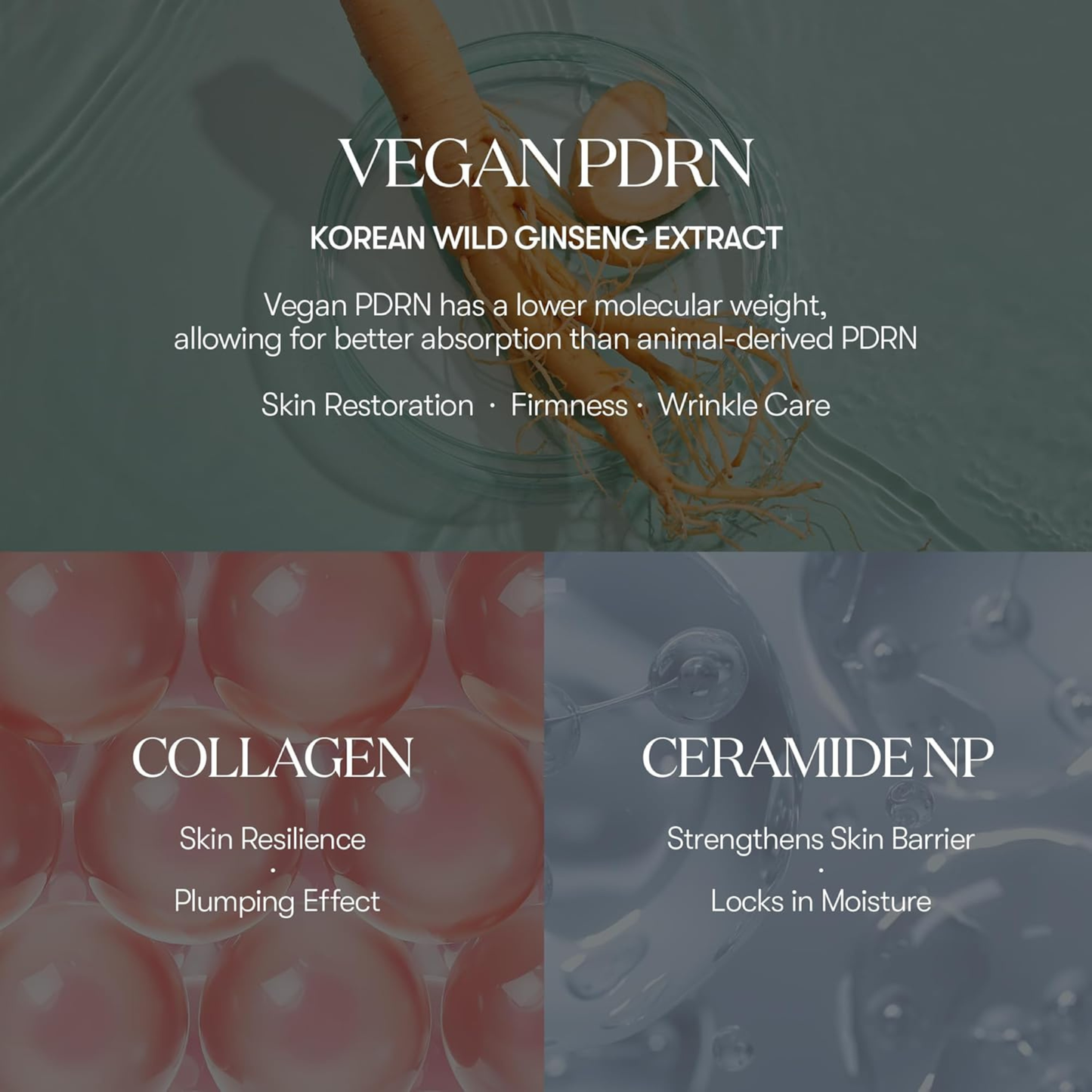 Advertisement for Vegan PDRN Korean Wild Ginseng Extract with text and images of ginseng roots and collagen molecules. VT Cosmetics PDRN Essence Stick Balm