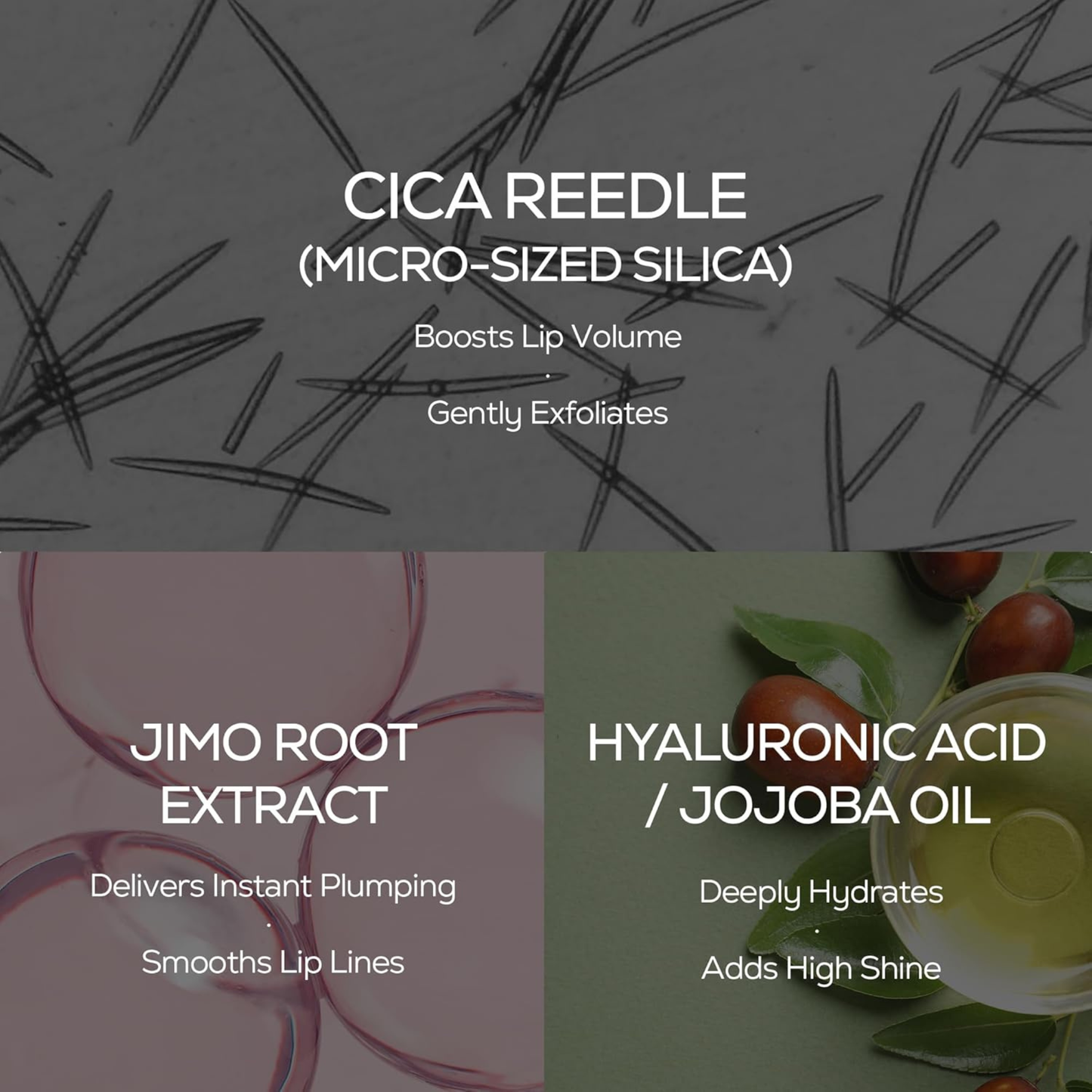 Ingredient description card of the VT Cosmetics Reedle Shot Lip Plumper with Cica Reedle, Jimo Root Extract, and Hyaluronic Acid/Jojoba Oil on a dark background.